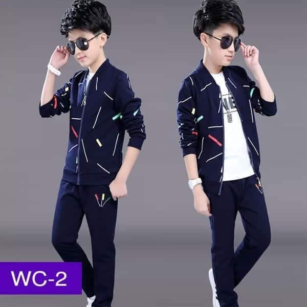 WB-419
